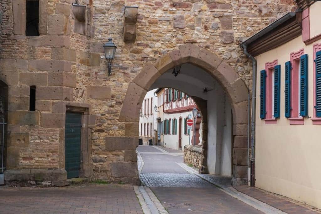 kreisgruppe-alzey-2